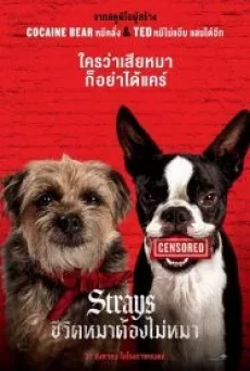 STRAYS (2023) ชีวิตหมาต้องไม่หมา - ดูหนังออนไลน